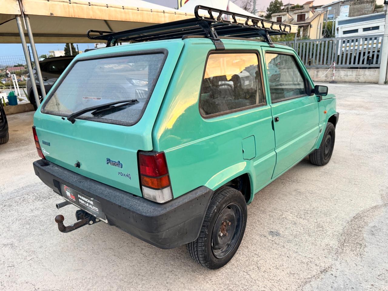 Fiat Panda 1100 i.e. cat Young
