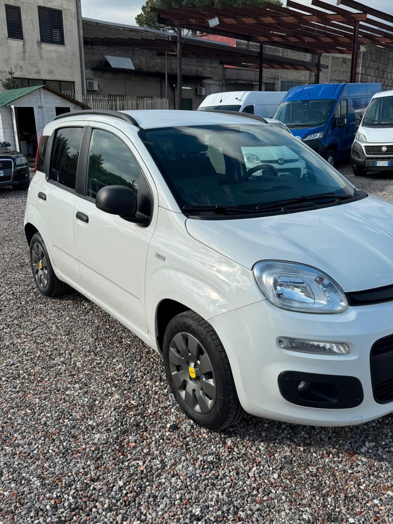 FIAT PANDA 1.3 MJT 80CV