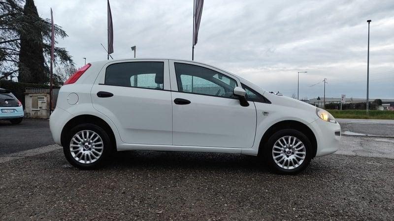 FIAT Punto Punto 1.4 8V 5 porte Natural Power Street