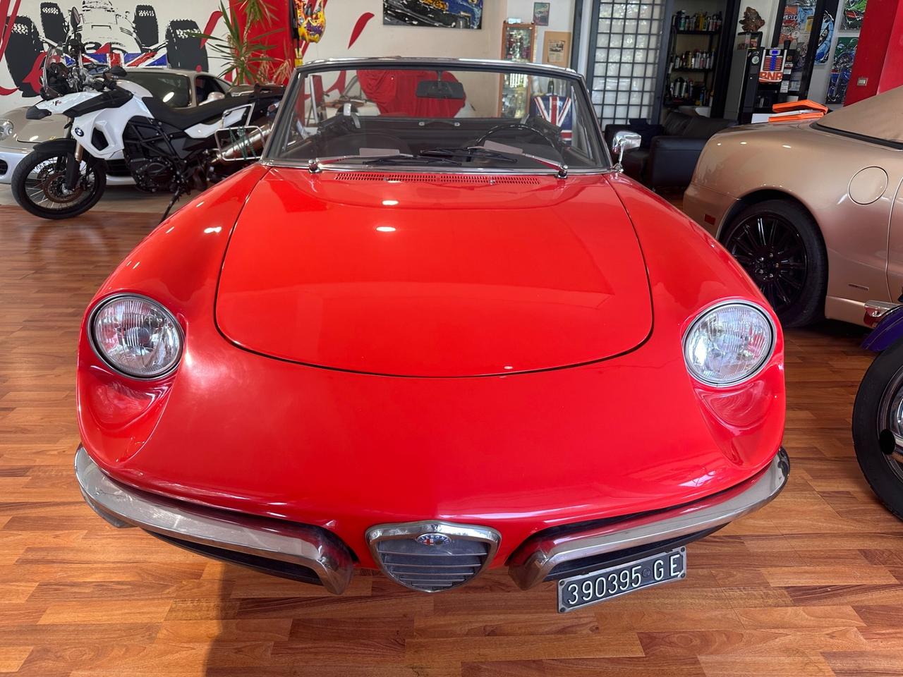 Alfa Romeo Spider Duetto Osso di seppia