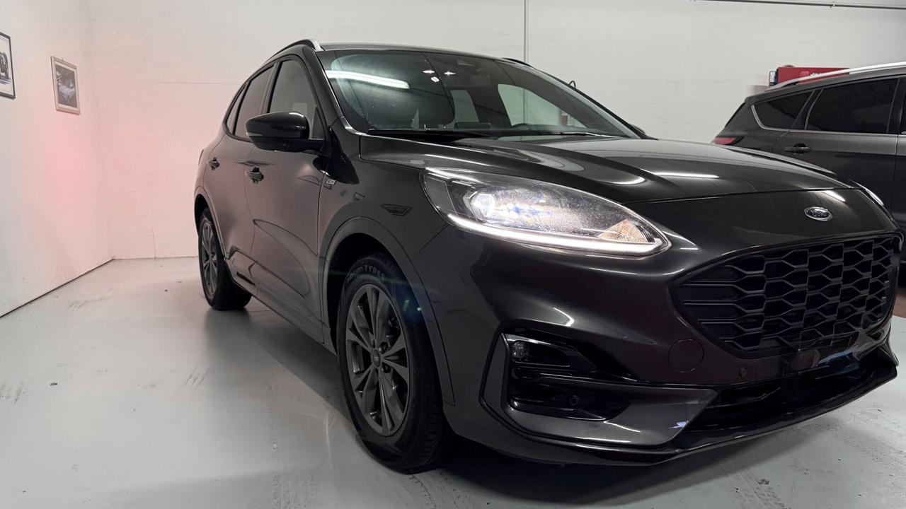 Ford Kuga 1.5 EcoBlue 120 CV 2WD ST-Line x