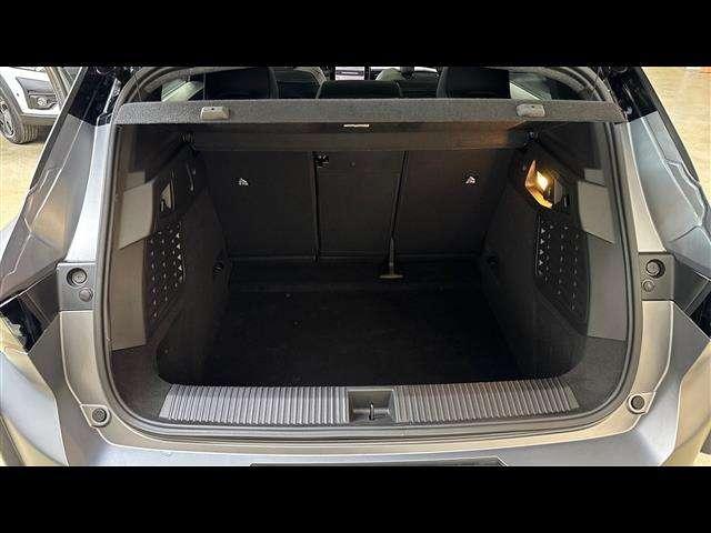 Renault Scenic long range Esprit Alpine
