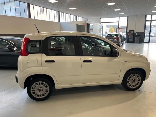 Fiat Panda 1.2 Easy 4 posti OK NEO PATENTATO