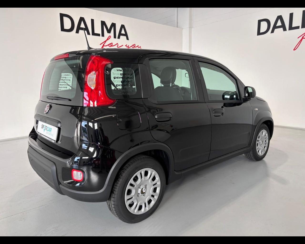 FIAT Pandina III 2024 - Pandina 1.0 firefly hybrid Pop s&s 70cv