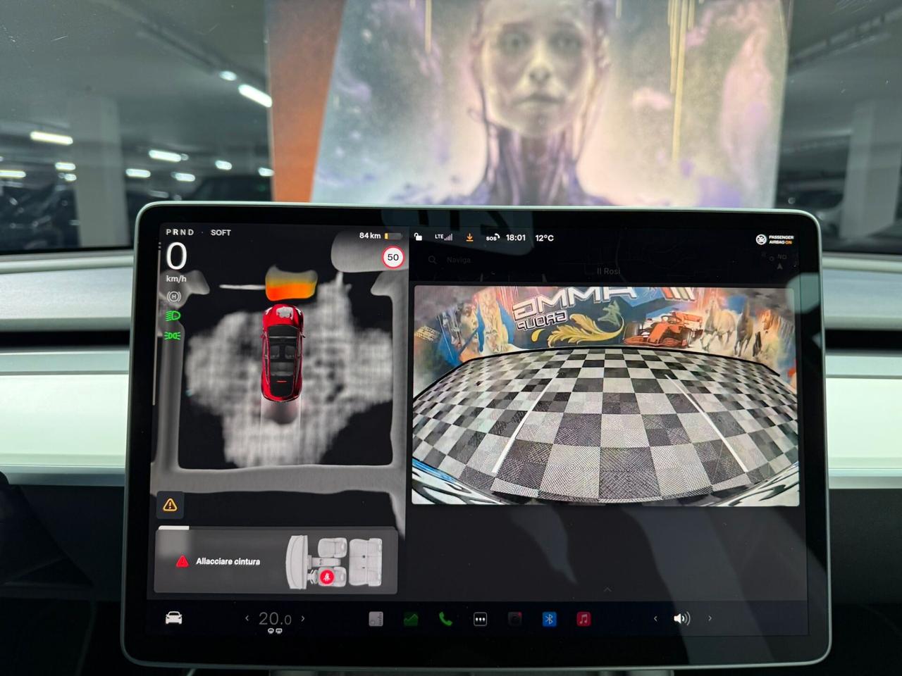 Tesla Model Y AWD Performance (423)