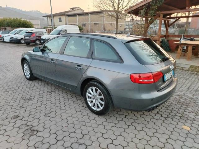 Audi A4 2.0 tdi Business Plus 177cv