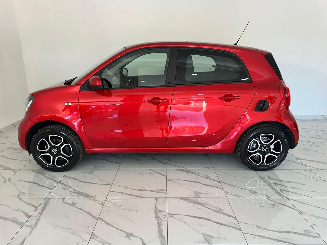 SMART FORFOUR PRIME AUTOMATICA 31.000 KM LED/PELLE/TETTO
