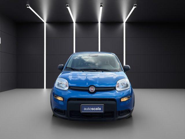 FIAT Panda 1.0 FireFly S&S Hybrid Pandina