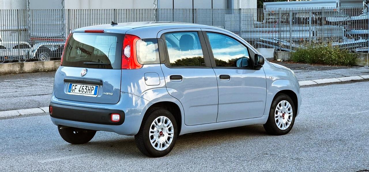 Fiat PANDA 1.0 FireFly 70cv S&S Hybrid
