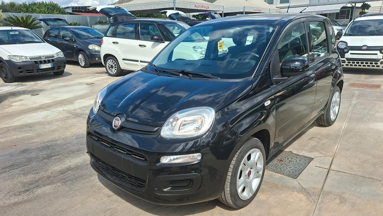 Fiat Panda 1.2 BENZINA 2019