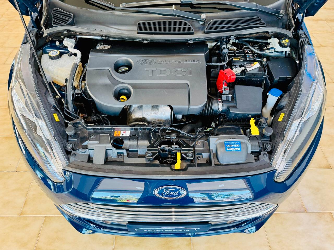 Ford Fiesta 1.5 Ambient TDCi 75CV 5 porte