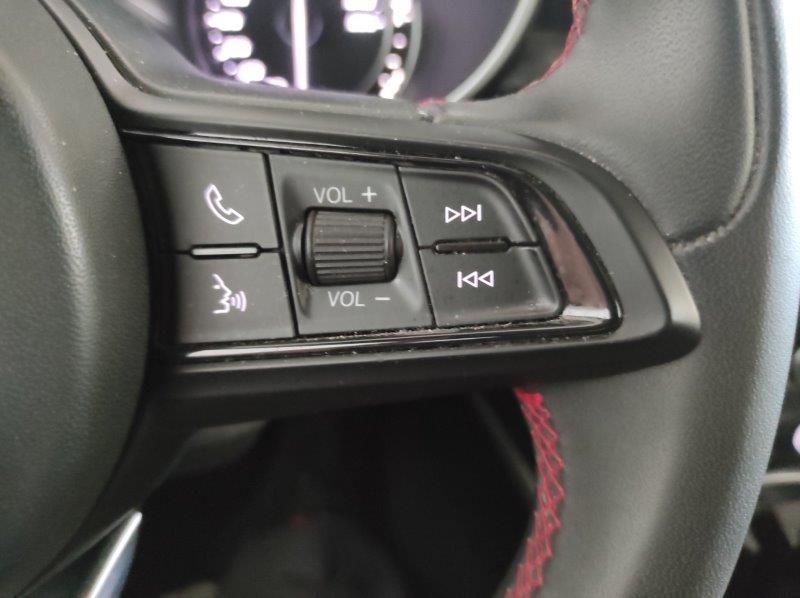 ALFA ROMEO Stelvio - Stelvio 2.2 Turbodiesel 160 CV AT8 RWD Business