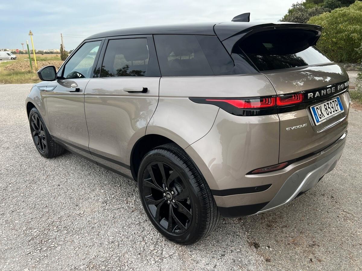 Land Rover Range Evoque 1.5 I3 160 CV Auto SE