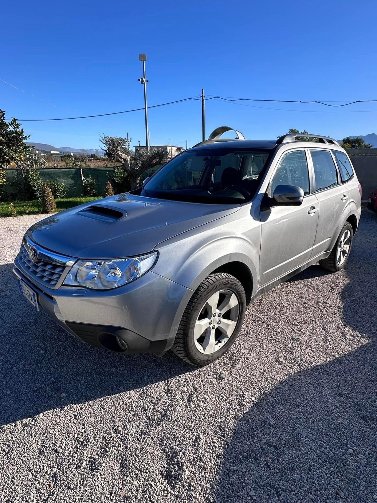 SUBARU FORESTER (anno 2011)