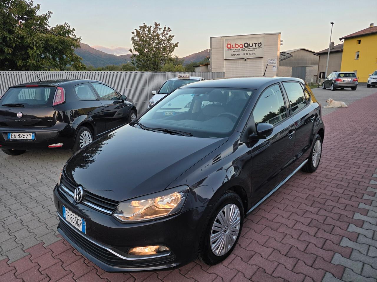 Volkswagen Polo 1.4 TDI 5p perfetta e garantita 12 Mesi