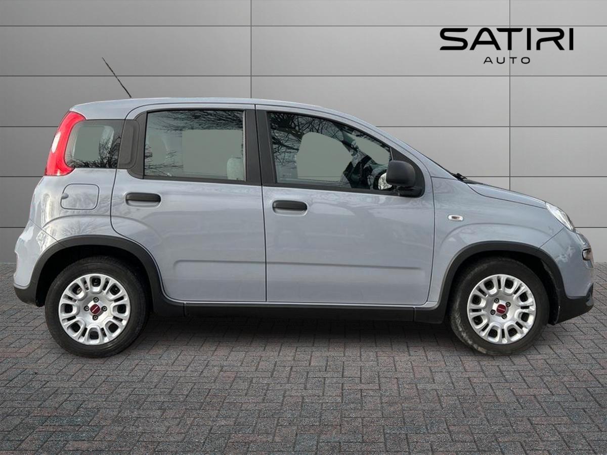 FIAT Panda III 2021 - Panda 1.0 firefly hybrid s&s 70cv