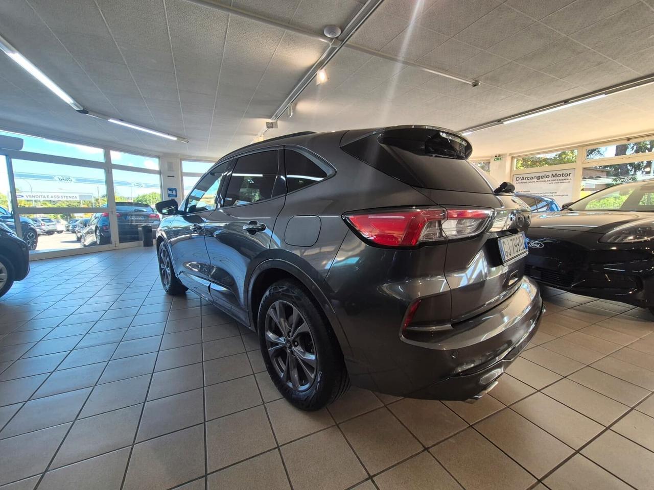 Ford Kuga 1.5 EcoBlue 120 CV 2WD ST-Line