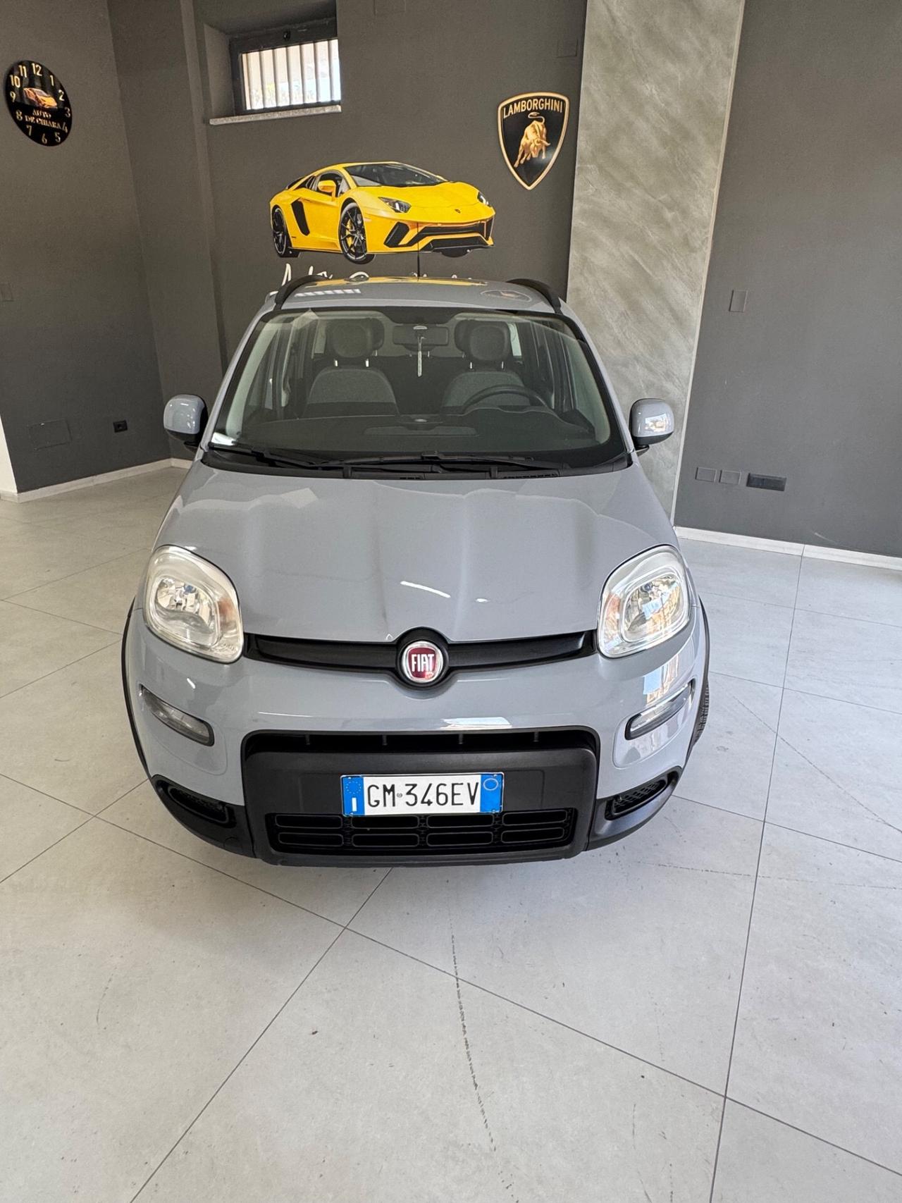Fiat Panda 1.0 FireFly S&S Hybrid