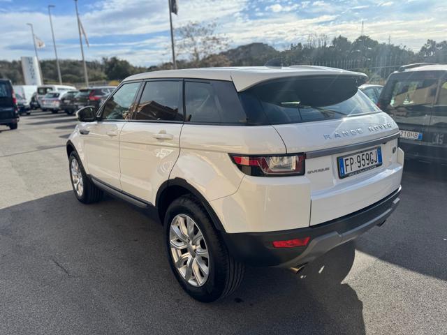 LAND ROVER Range Rover Evoque 2.0 TD4 150 CV 5p. Bs Ed. Premium Pure