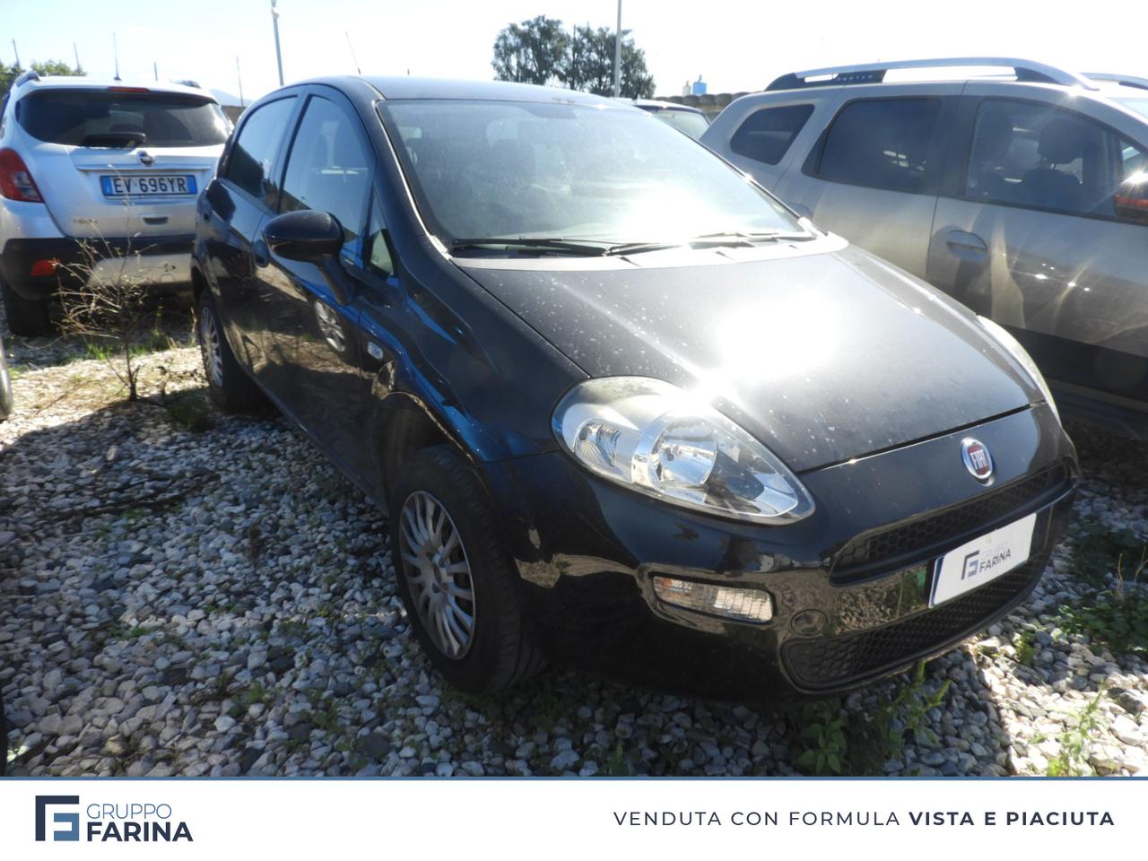 FIAT Punto III 2012 - Punto 5p 1.4 natural power Young 70cv