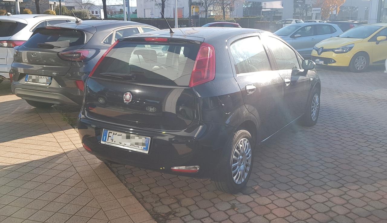 Fiat Punto 1.2 8V 5 porte Street OK NEO PATENTATI