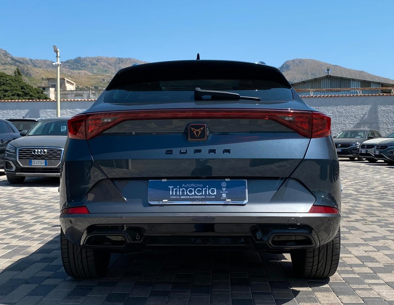 Cupra Formentor 2.0 TDI 150CV DSG 4drive Skyline
