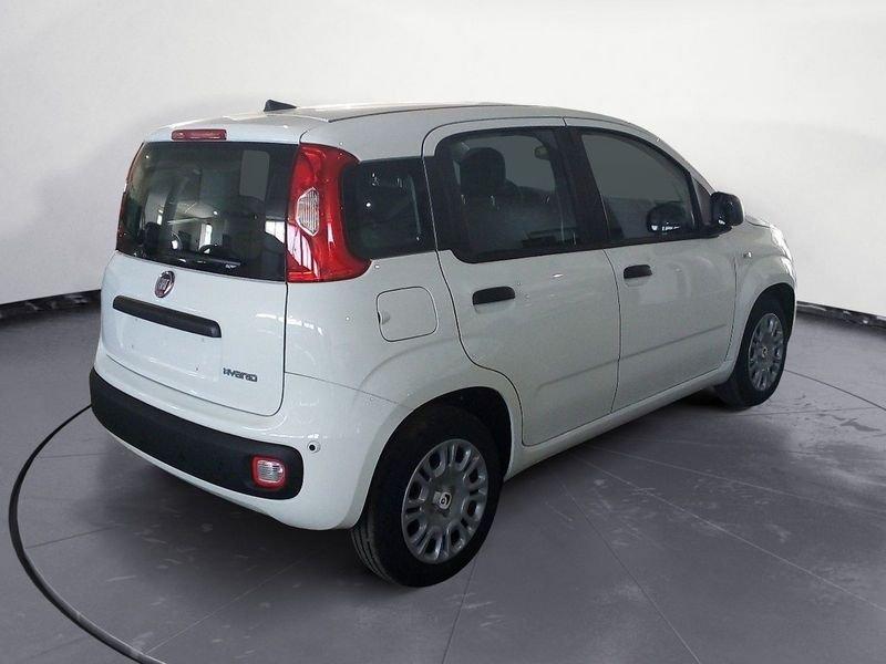 FIAT Panda NEW My25 1.0 70cv Hybrid Panda