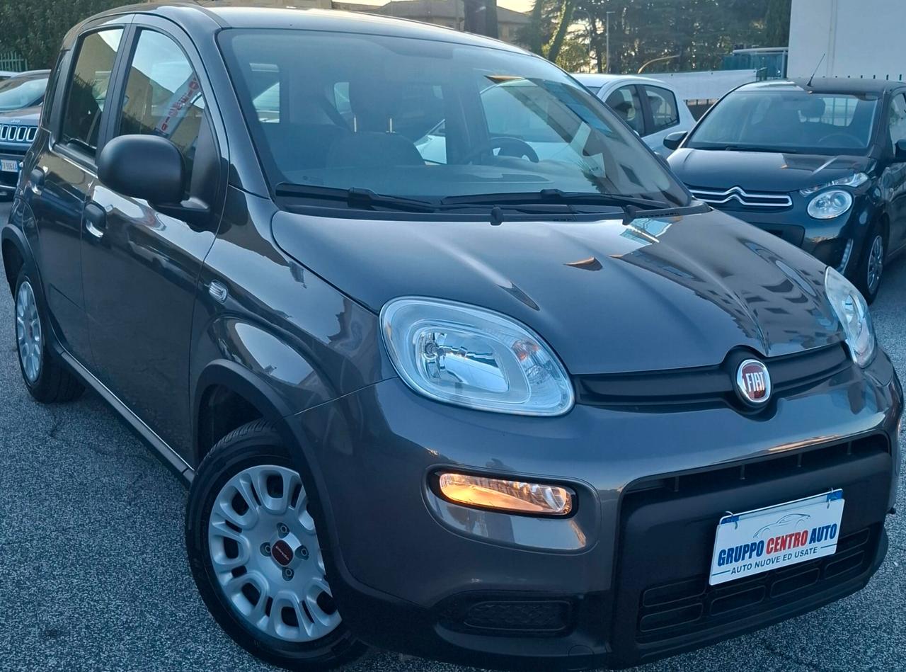 Fiat Panda 1.0 FireFly S&S Hybrid - 2023