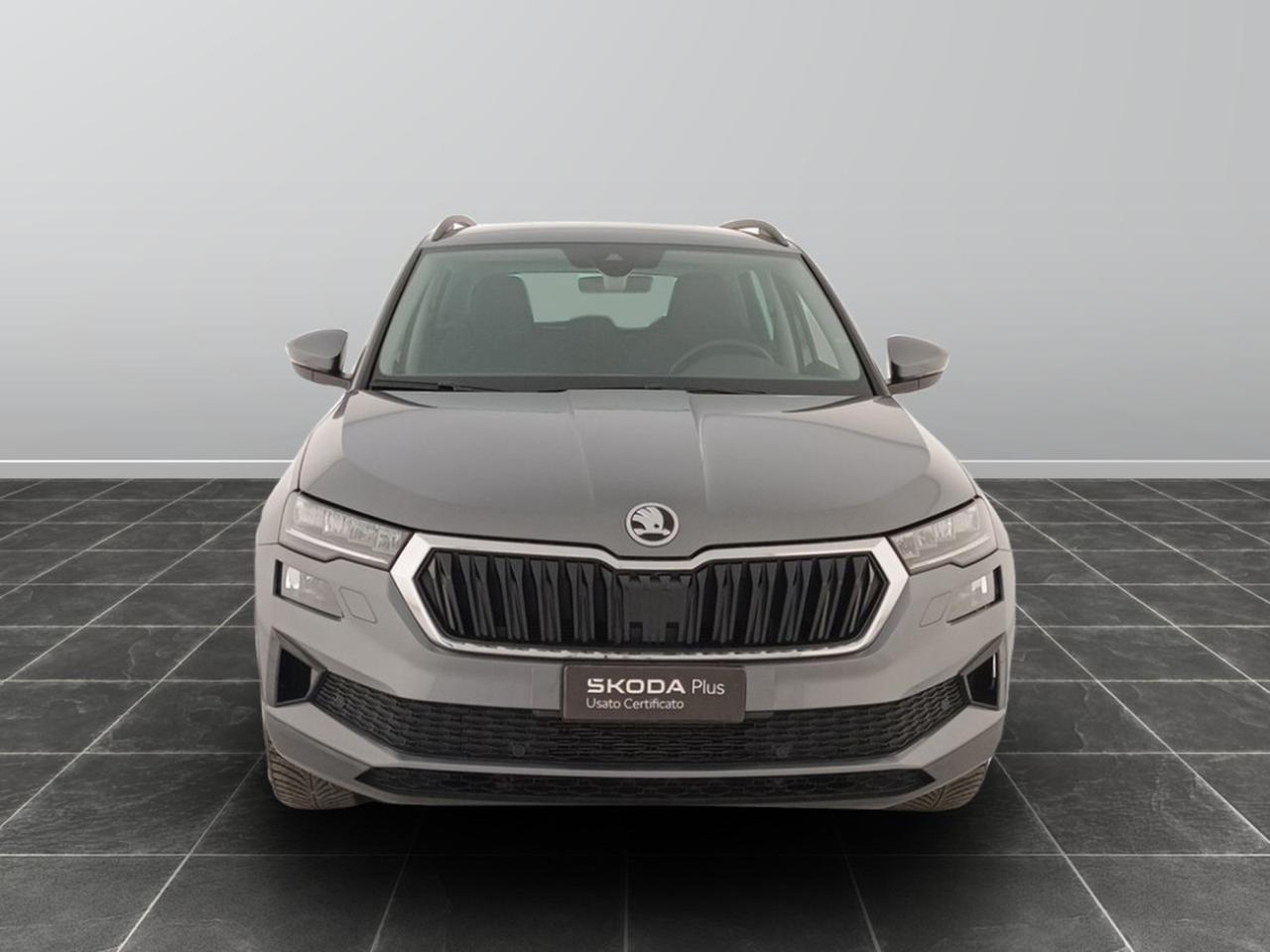 Skoda Karoq 2.0 tdi evo scr 115cv executive dsg