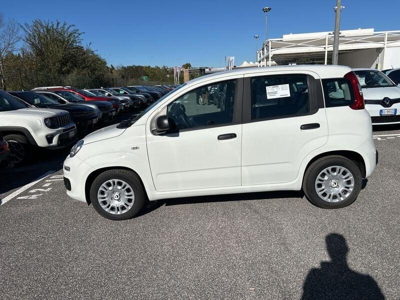 FIAT Panda New 1.0 70cv Hybrid Panda