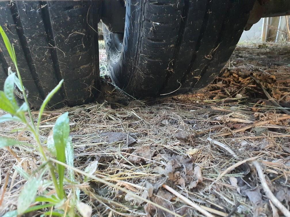 MERCEDES SCUOLABUS T2 709 D 35 Posti