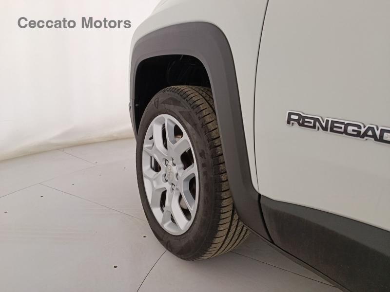 Jeep Renegade 2.0 Multijet Limited 4WD DDCT