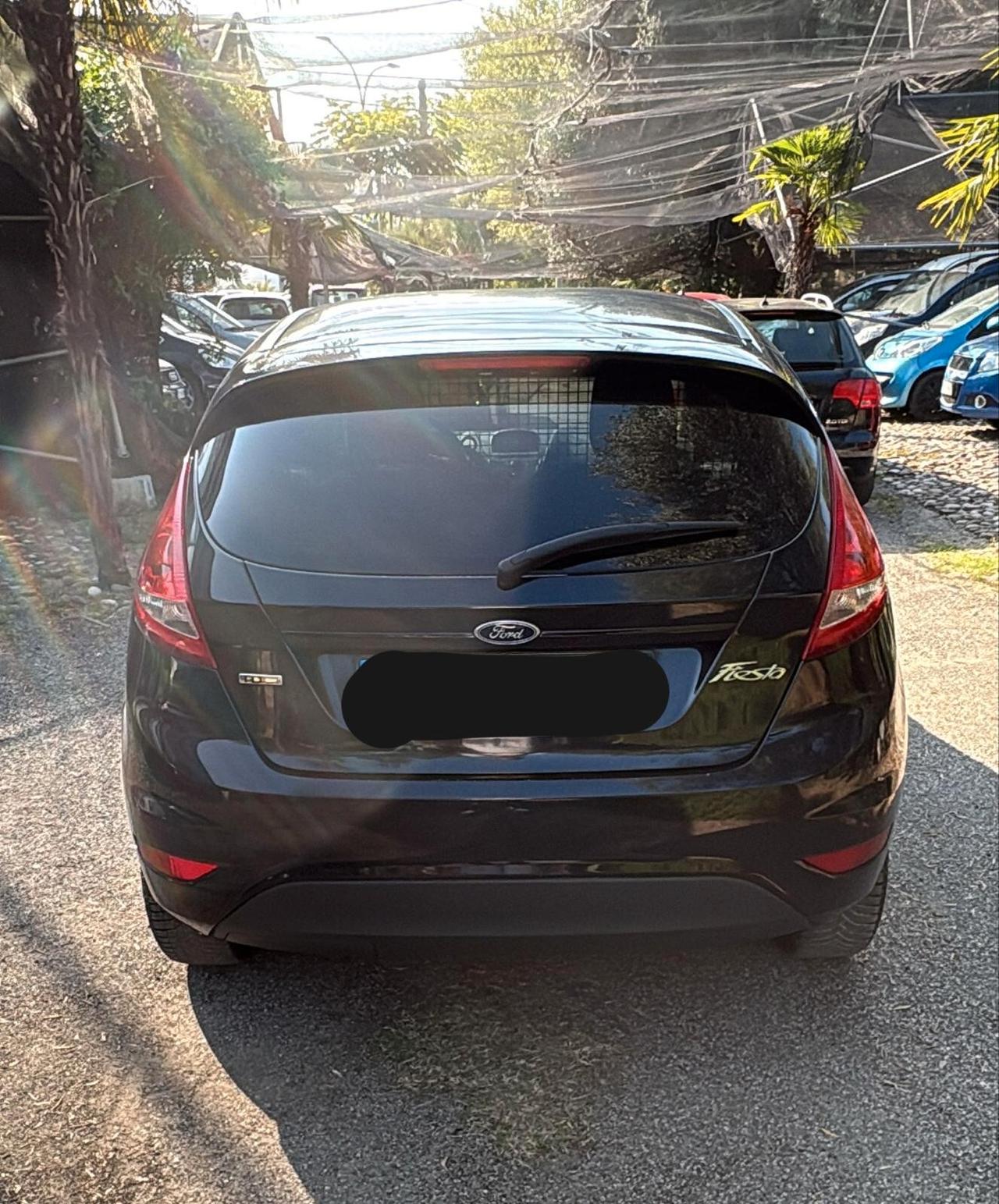 Ford Fiesta 1.4 TDCi 70CV 3 porte Van