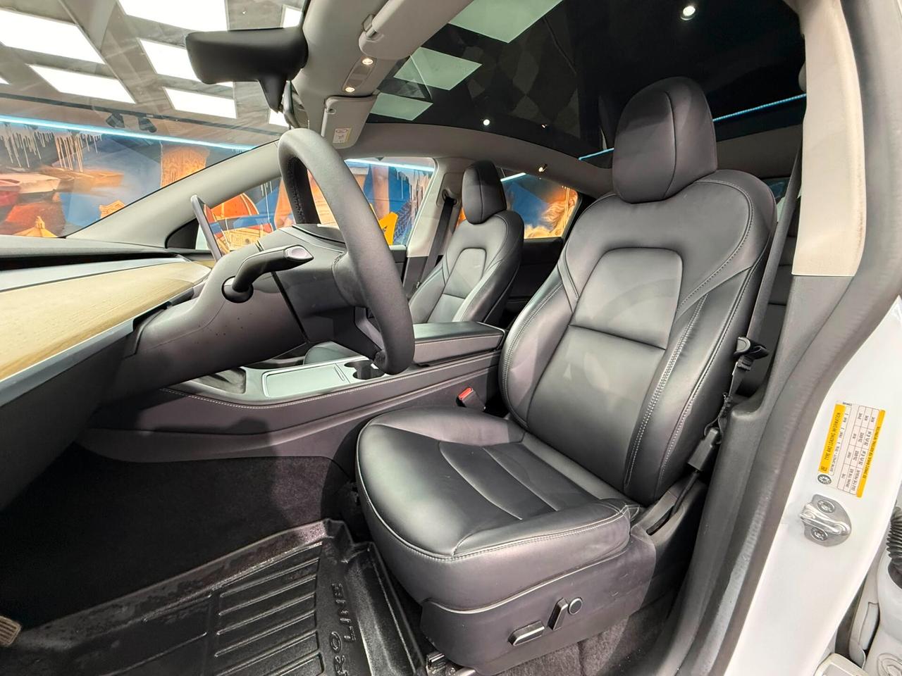 Tesla Model Y RWD (050)