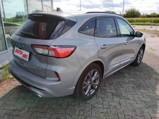 Ford Kuga Kuga III 2020 1.5 ecoblue ST-Line X 2wd 120cv auto