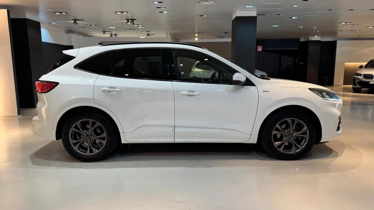 Ford Kuga 1.5 EcoBlue 120 CV 2WD ST-Line - 2021