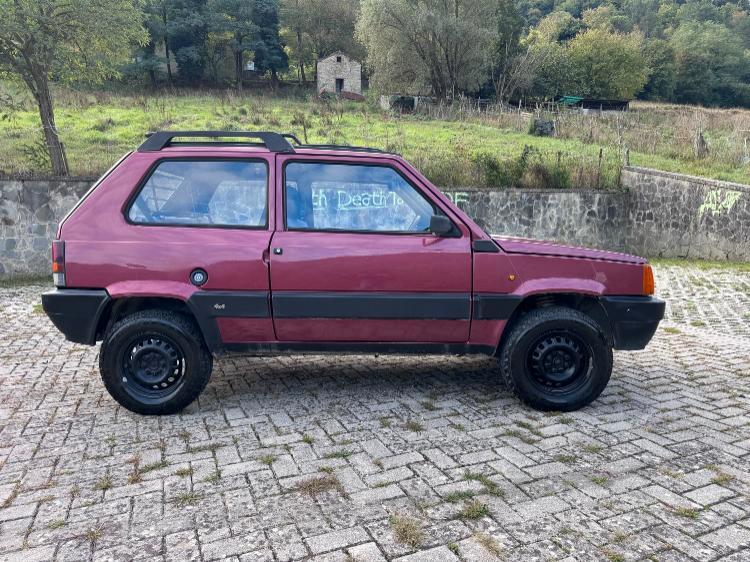 Fiat Panda 1.1 Fire Trekking 4x4 cat.