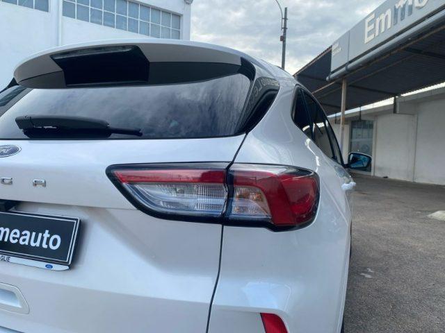 FORD Kuga 1.5 EcoBlue 120 CV 2WD ST-Line