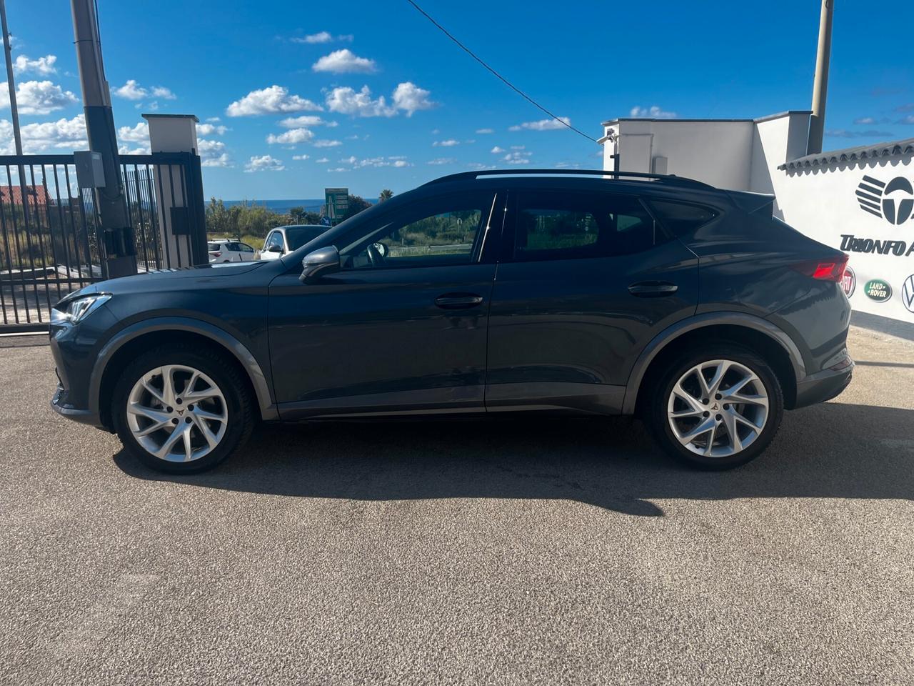 Cupra Formentor 2.0 TDI 4Drive DSG