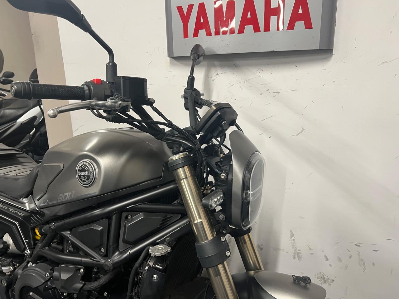 Benelli Leoncino 800