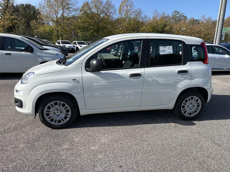 FIAT Panda New 1.0 70cv Hybrid Pop