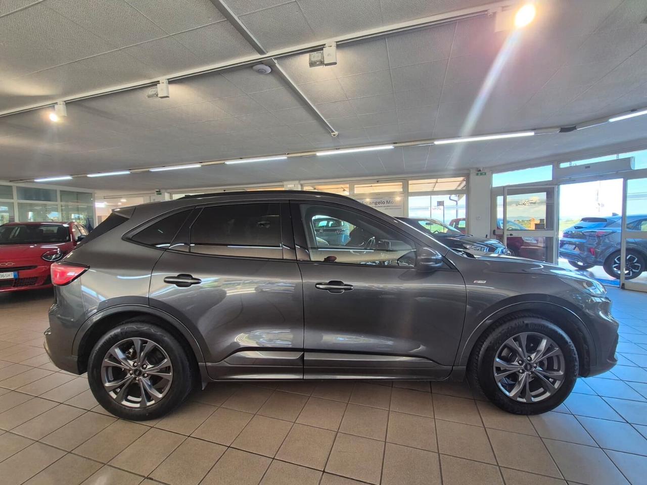 Ford Kuga 1.5 EcoBlue 120 CV 2WD ST-Line