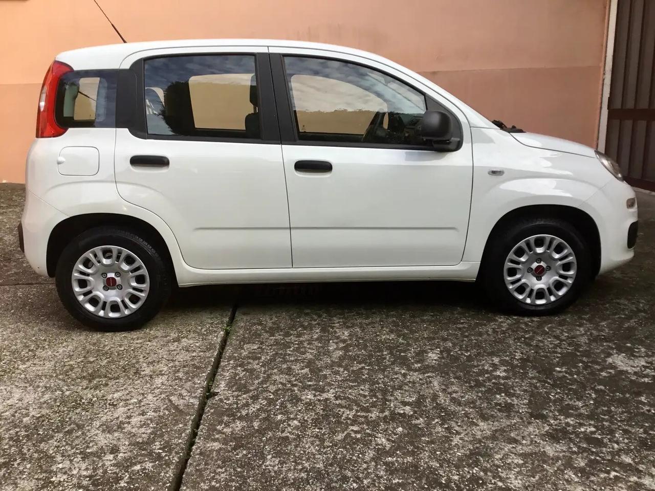 Fiat Panda Easy 1.2 benzina 69 cv.