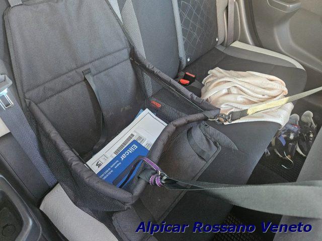 NISSAN Micra 1.5 dCi 8V 5 porte Business+