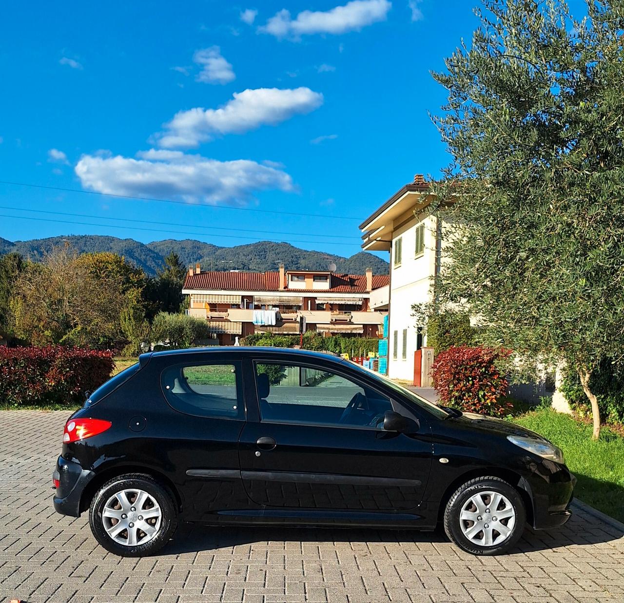 Peugeot 206 Plus - Tagliandata - Unipropr