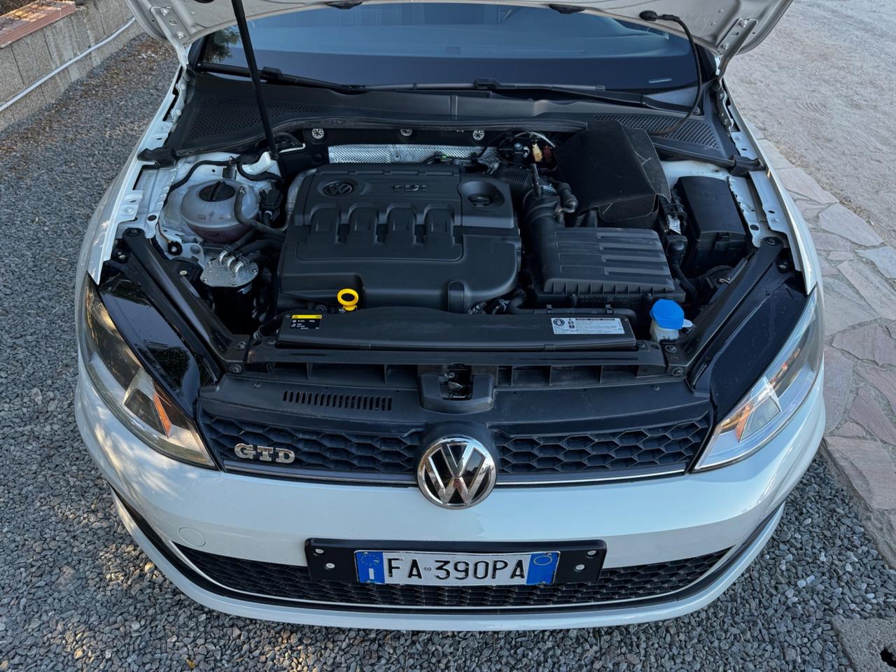 Volkswagen Golf 2.0 TDI DSG 5p. Executive BlueMotion Technology