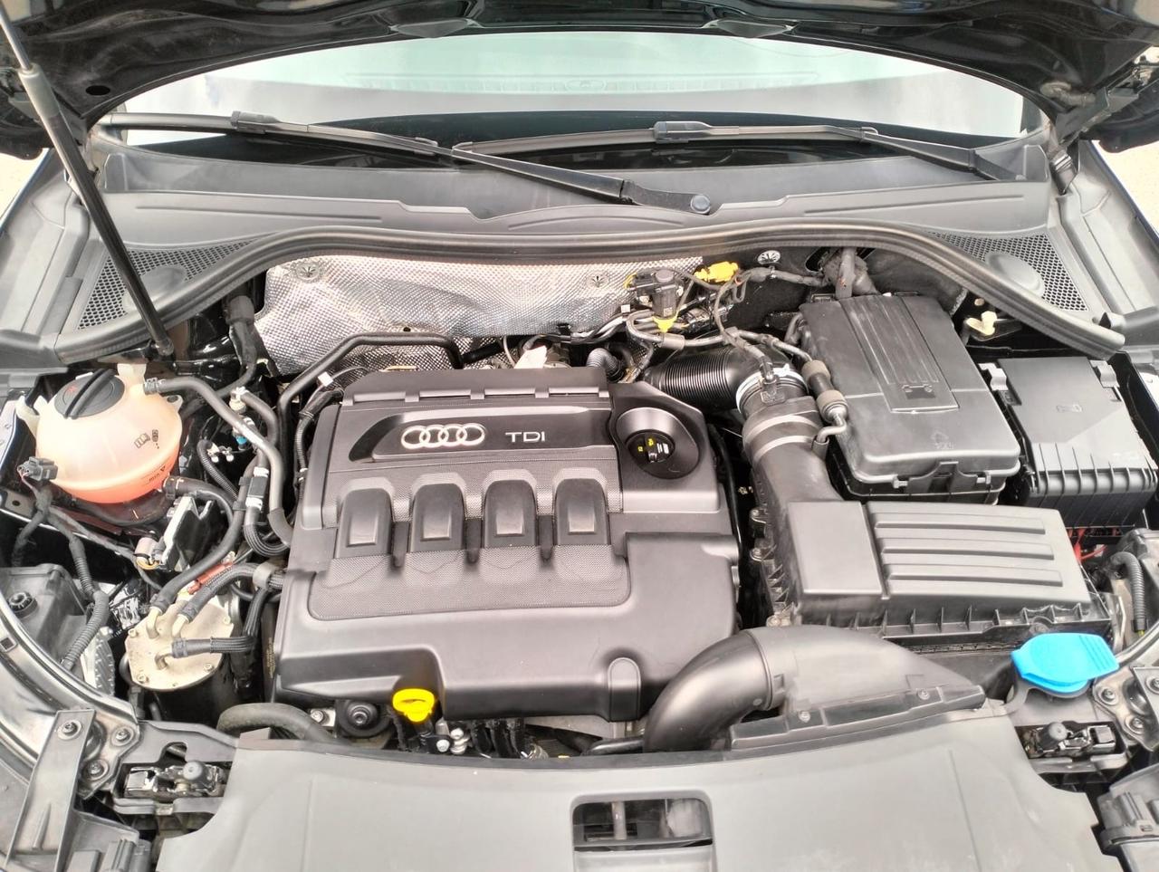 Audi Q5 2.0 TDI 150 CV quattro Advanced Plus