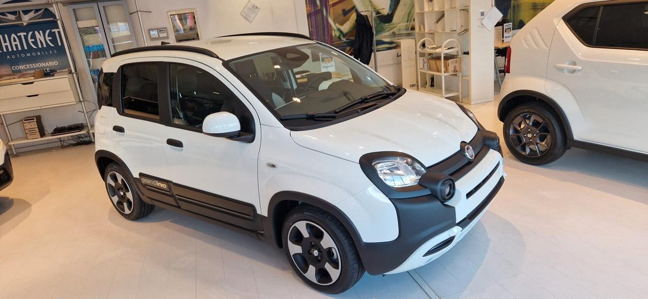 Fiat Panda 1.0 FireFly S&S Hybrid - Allestimento Pandina