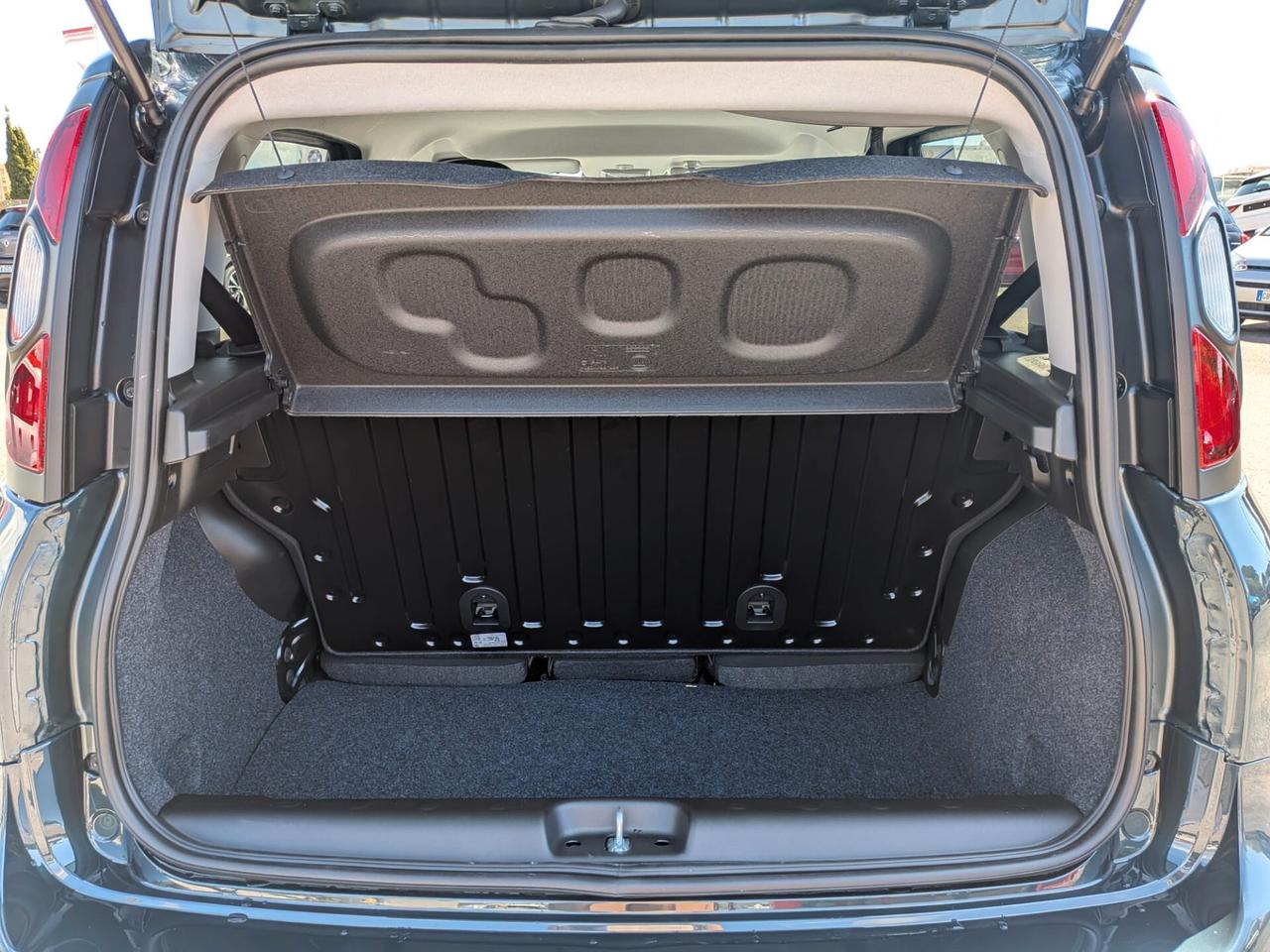 Fiat Panda Cross 1.0 FireFly S&S Hybrid