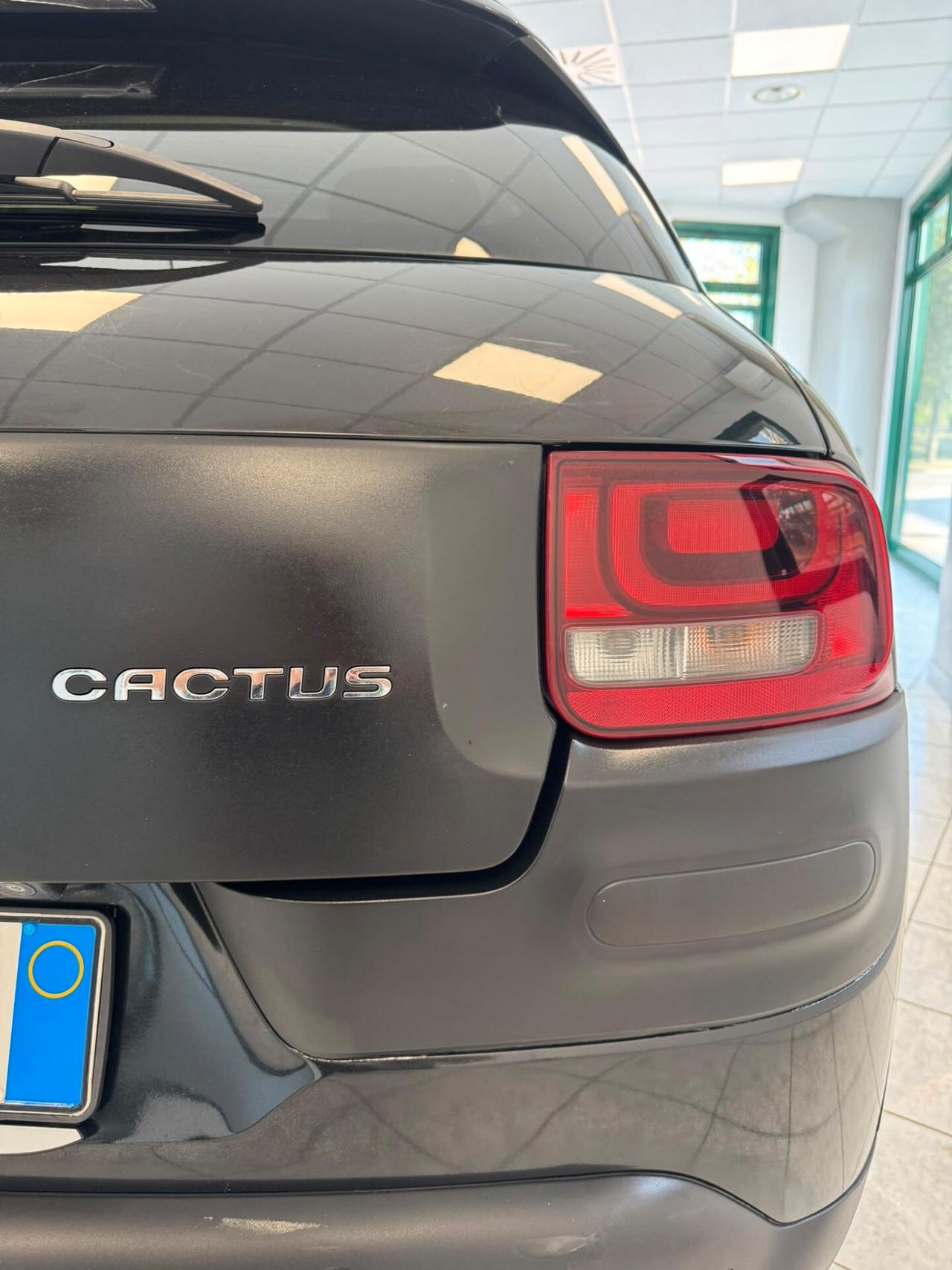 Citroen C4 Cactus BlueHDi 100 Shine